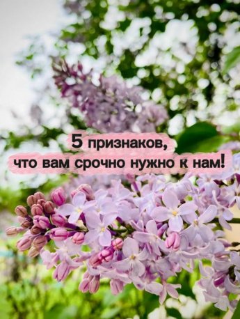 Пять признаков, что Вам срочно нужно к нам!