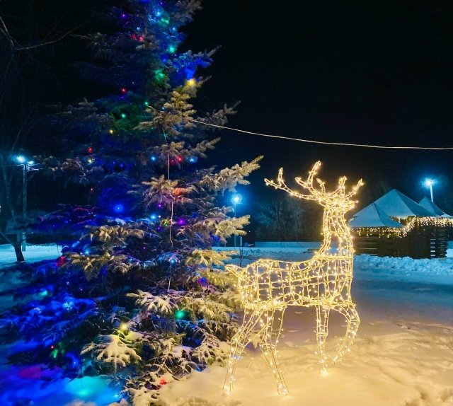 Внимание! Уникальное предложение к Новому году!